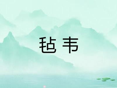 毡韦