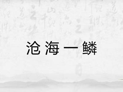 沧海一鳞