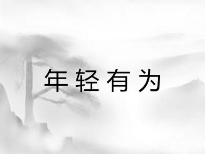 年轻有为
