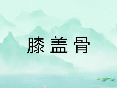 膝盖骨 膝盖骨