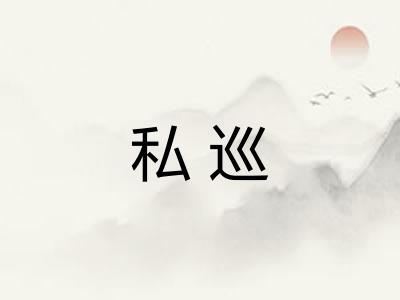 私巡