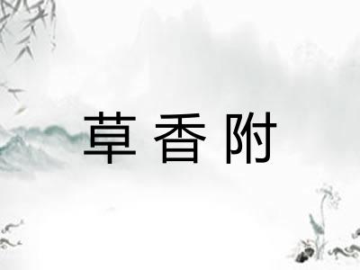 草香附 草香附