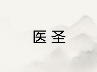 医圣
