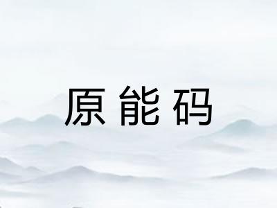 原能码