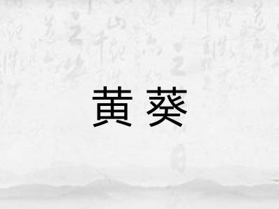 黄葵