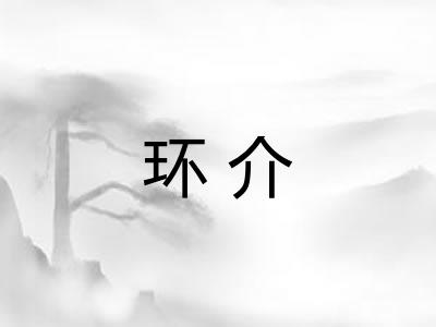 环介 环介
