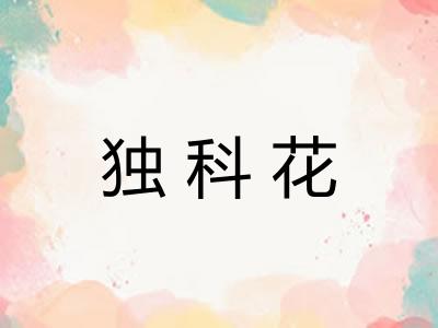 独科花 独科花