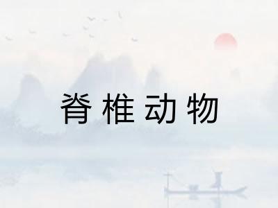 脊椎动物 脊椎动物