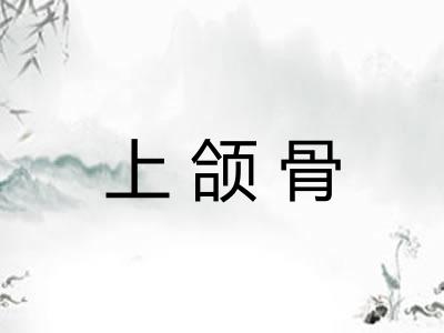上颌骨