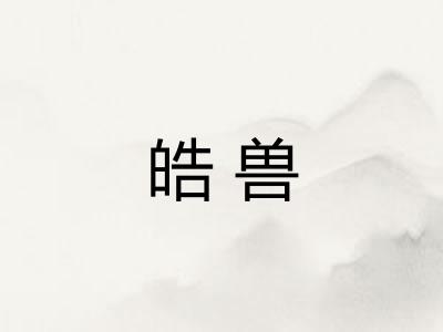 皓兽