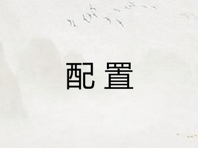 配置