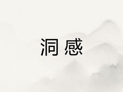 洞感 洞感
