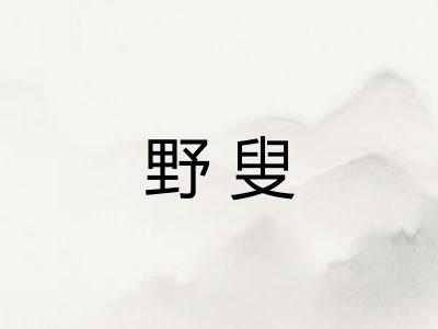 野叟