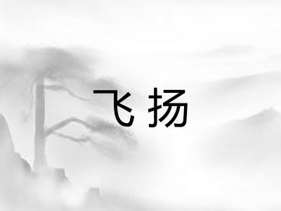 飞扬