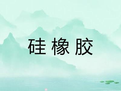 硅橡胶