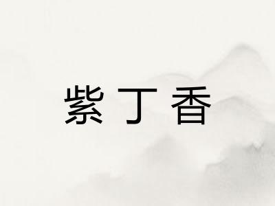 紫丁香 紫丁香