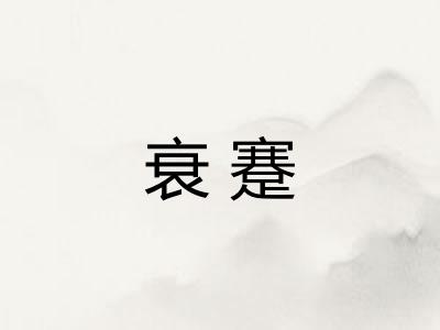 衰蹇