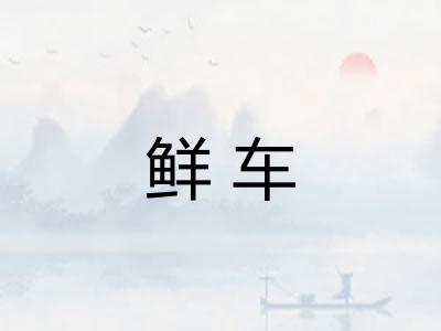 鲜车 鲜车