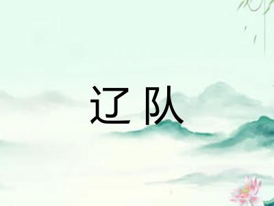 辽队