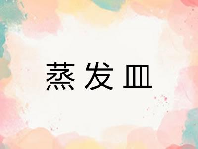 蒸发皿