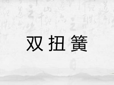 双扭簧