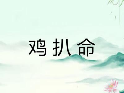 鸡扒命