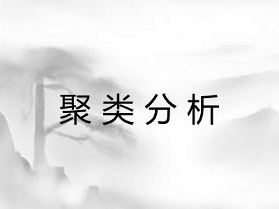 聚类分析