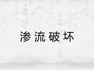 渗流破坏