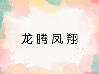 龙腾凤翔