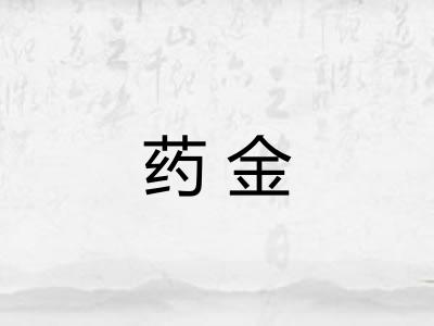 药金