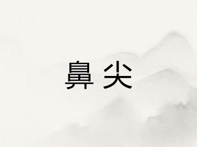 鼻尖