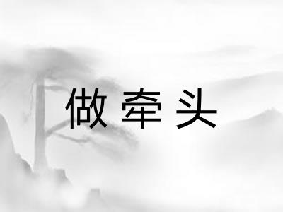 做牵头 做牵头