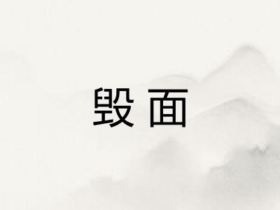 毁面