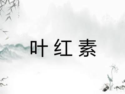 叶红素