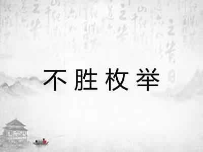 不胜枚举