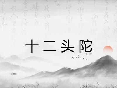 十二头陀