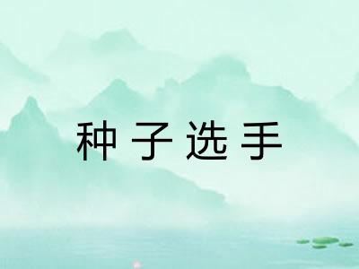 种子选手