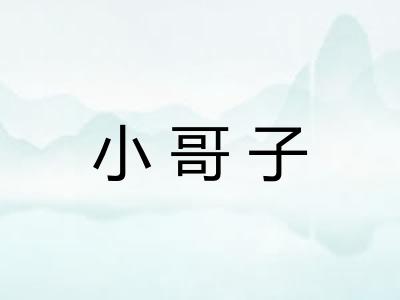 小哥子 小哥子