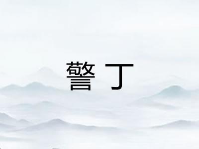 警丁