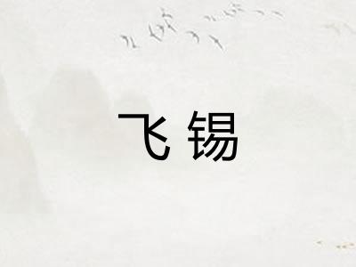 飞锡