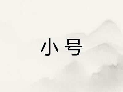 小号