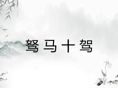 驽马十驾