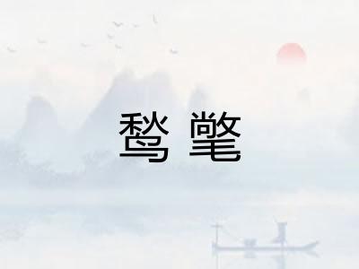 鹙氅