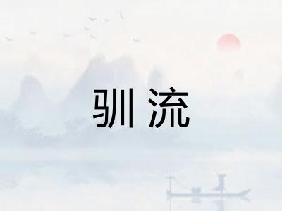 驯流