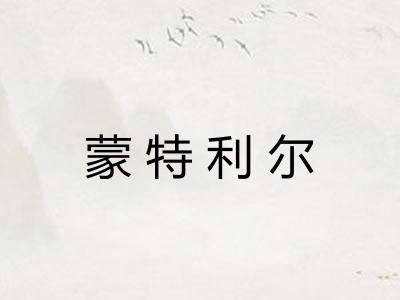 蒙特利尔