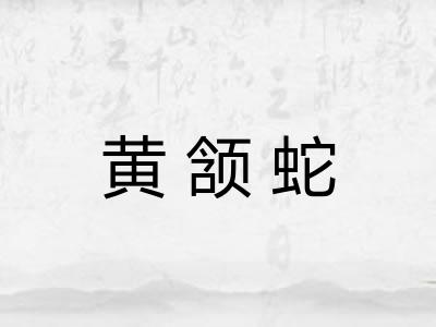 黄颔蛇