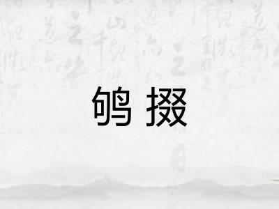 鸲掇