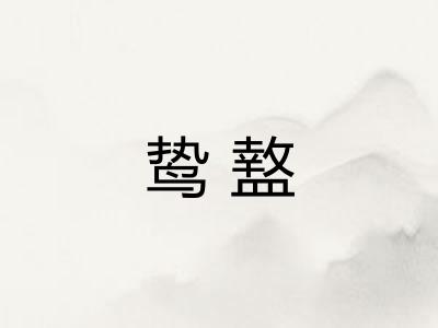 鸷盩