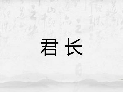 君长 君长