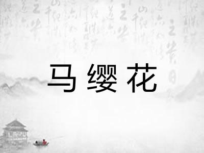 马缨花